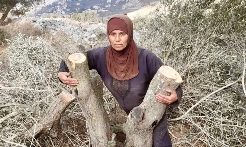 «Λεμονιά» («Lemon Tree»): Το διαχρονικό έγκλημα του Ισραήλ εις βάρος των Παλαιστινίων